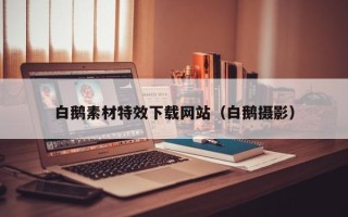 咸宁白鹅素材特效下载网站（白鹅摄影）